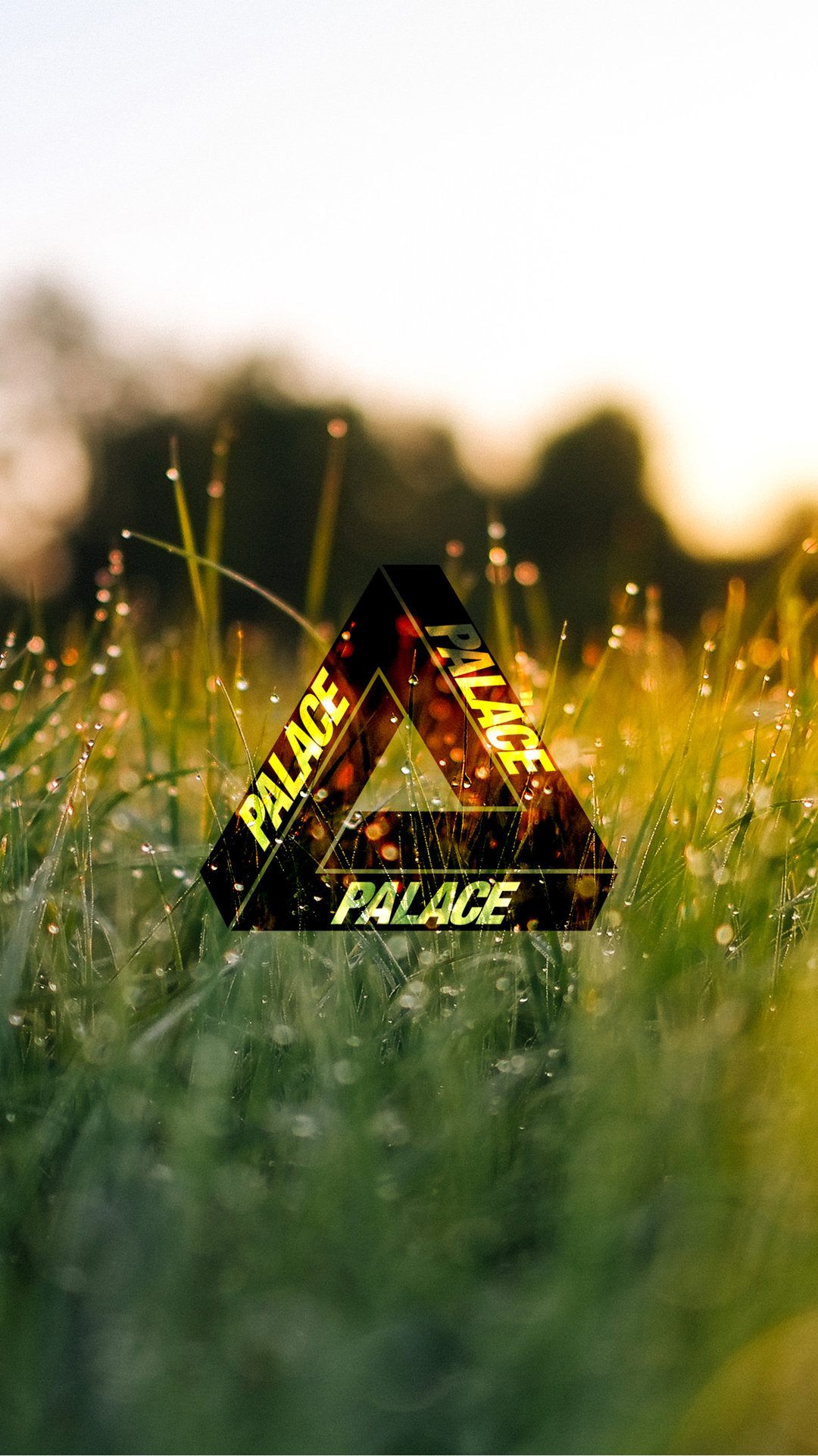 Palace Wallpaper - Backgrounds Yellow And Green Nature Aesthetic - HD Wallpaper 