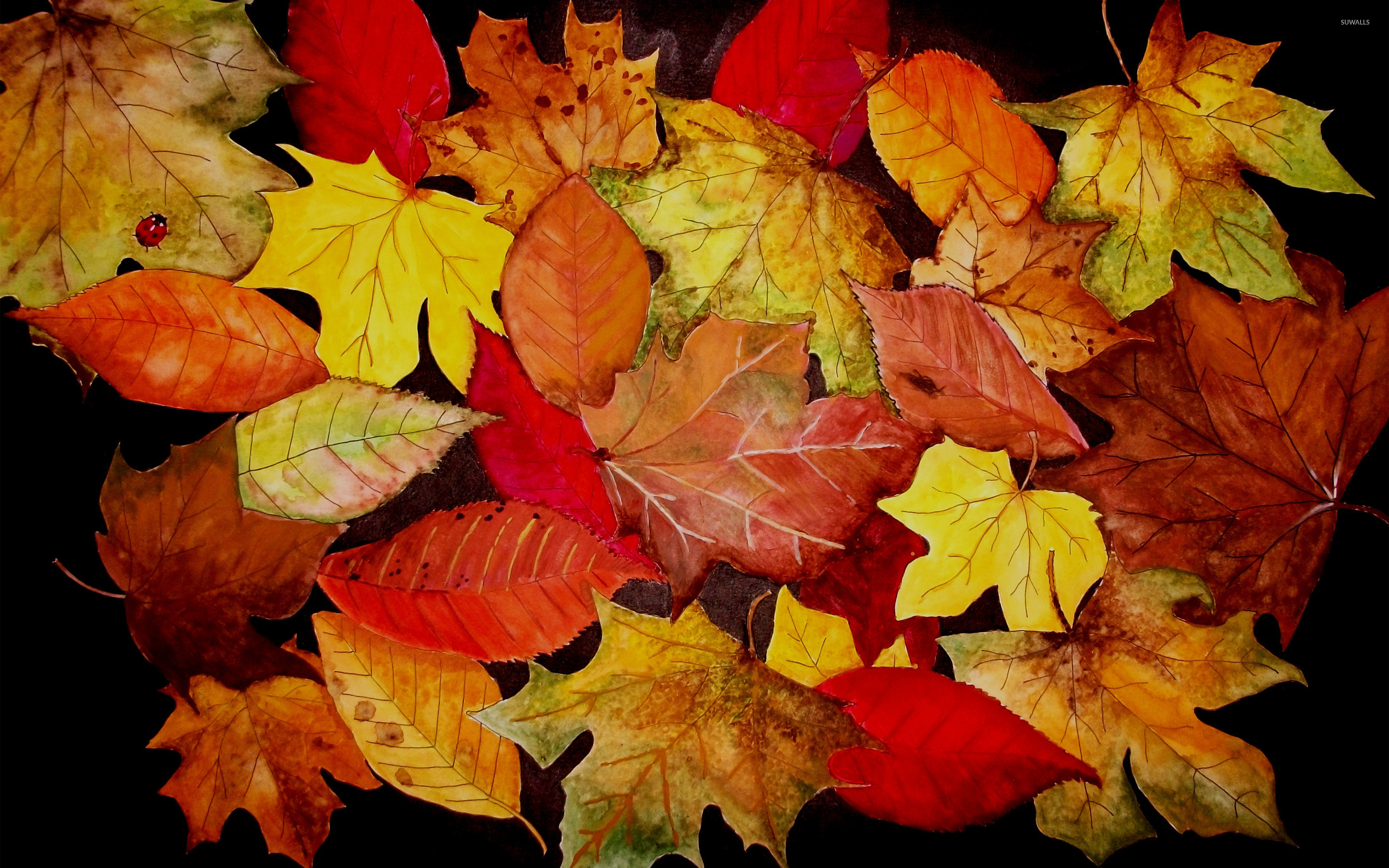 Fall Leaves High Res - HD Wallpaper 