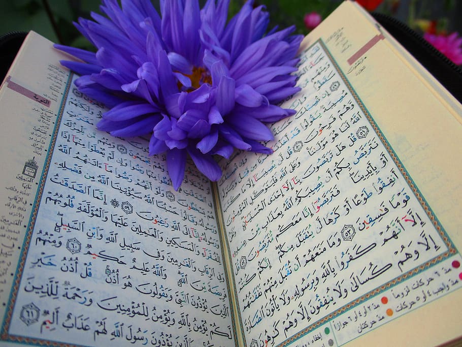 Quran, Shrine, Scripture, Muslims, Mosque, Islam, Reading, - Quran - HD Wallpaper 