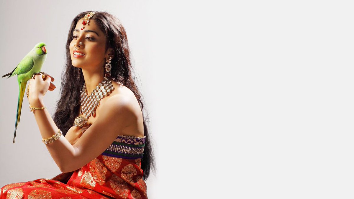 Wallpaper - HD Wallpaper 