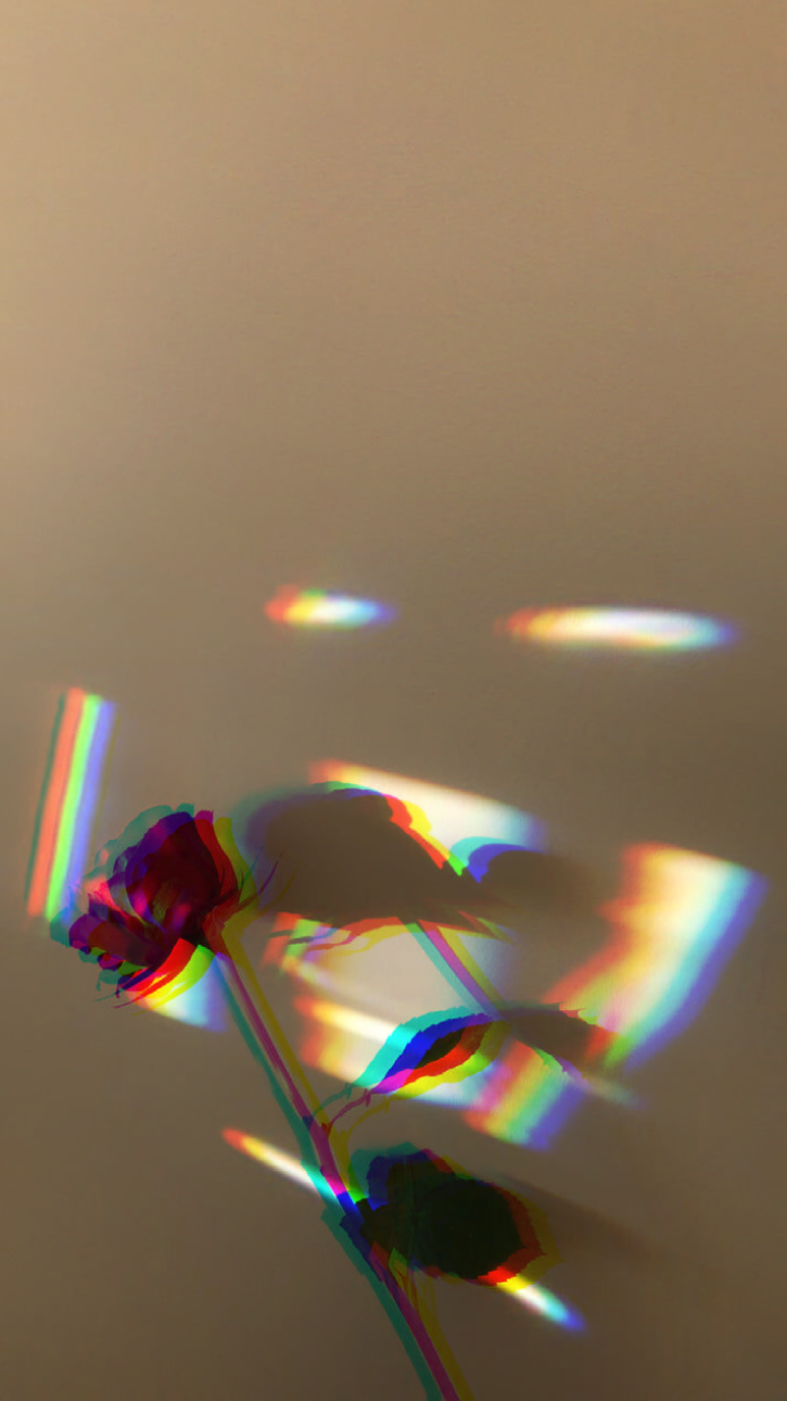 Glitch Rose - HD Wallpaper 