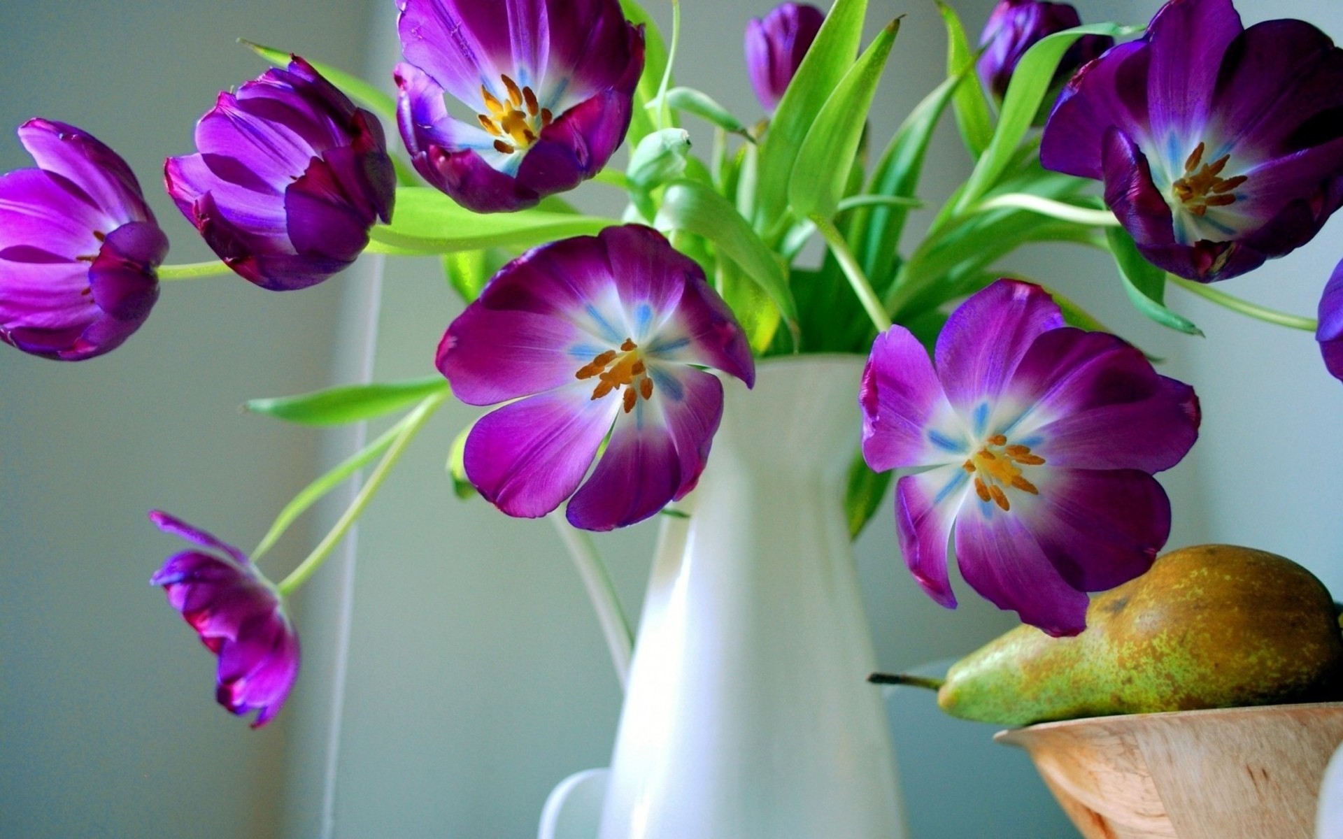 Amazing, Still,beautiful Flower Wallpapers, Love, - Mobile Wallpaper Of Beautiful Flower - 1920x1200 Wallpaper Amazing, Still,beautiful Flower Wallpapers, Love, - Mobile Wallpaper Of Beautiful Flower - 1920x1200 Wallpaper