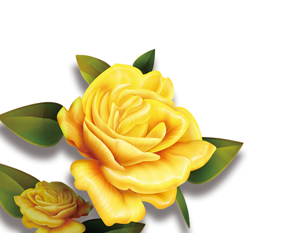Rose Yellow Flower High-definition Television Wallpaper - Transparent Background Yellow Flower Png - HD Wallpaper 