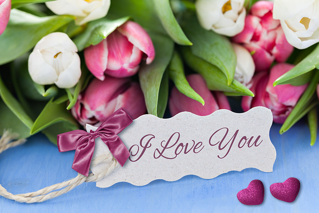 Tulips I Love You 1280x853 Wallpaper Teahub Io