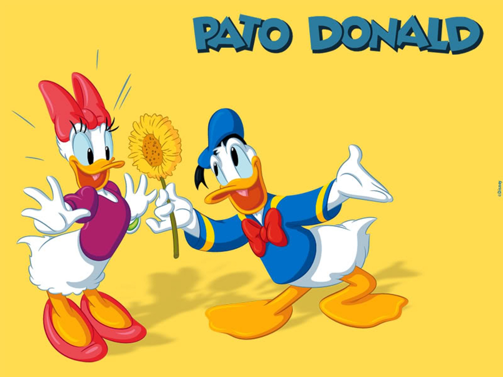 Donald Duck Wallpaper - High Resolution Donald Duck - HD Wallpaper 