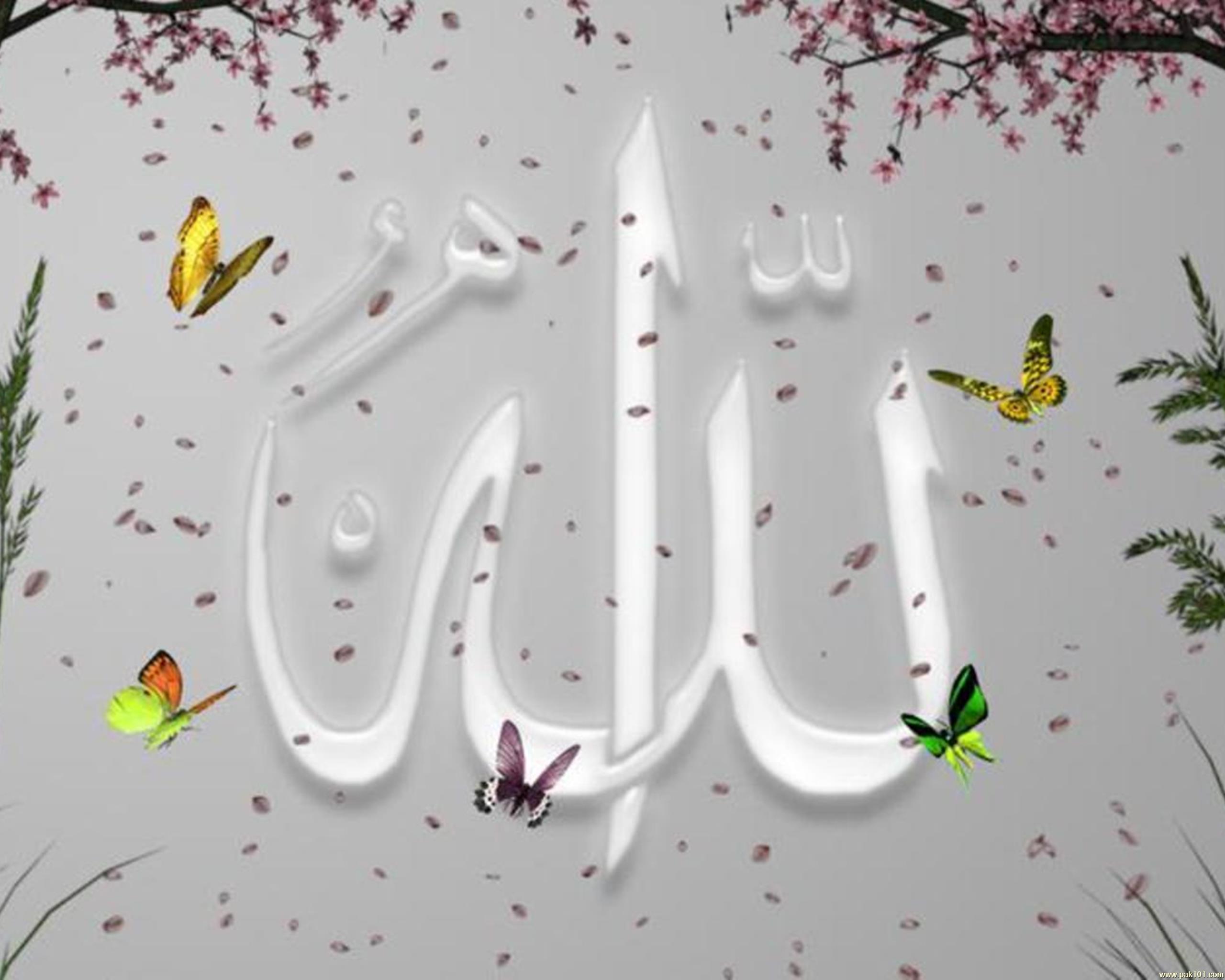 Beautiful Name Allah - Islamic Picture Gallery - HD Wallpaper 