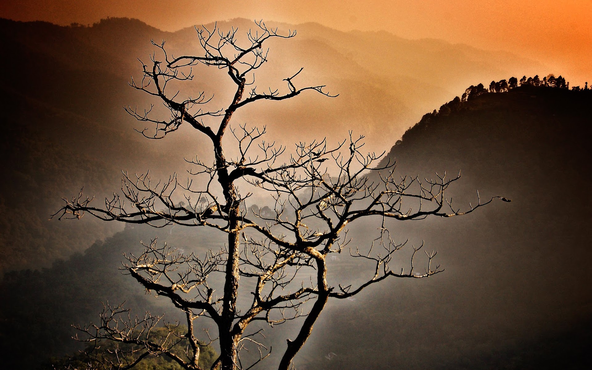 Chrome Cast - HD Wallpaper 