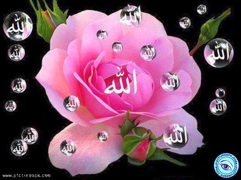 Allah Beautiful Wallpapers - Name Wallpaper Free Download - HD Wallpaper 