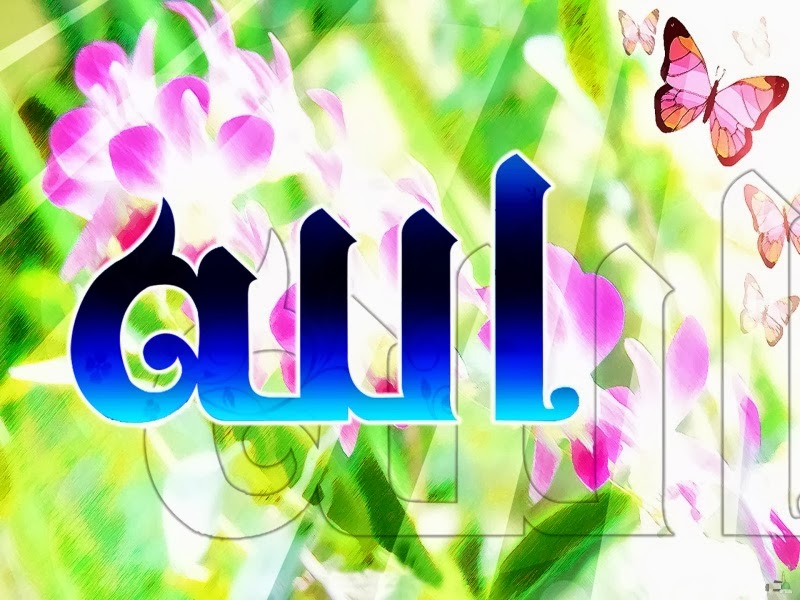 Wallpaper - HD Wallpaper 