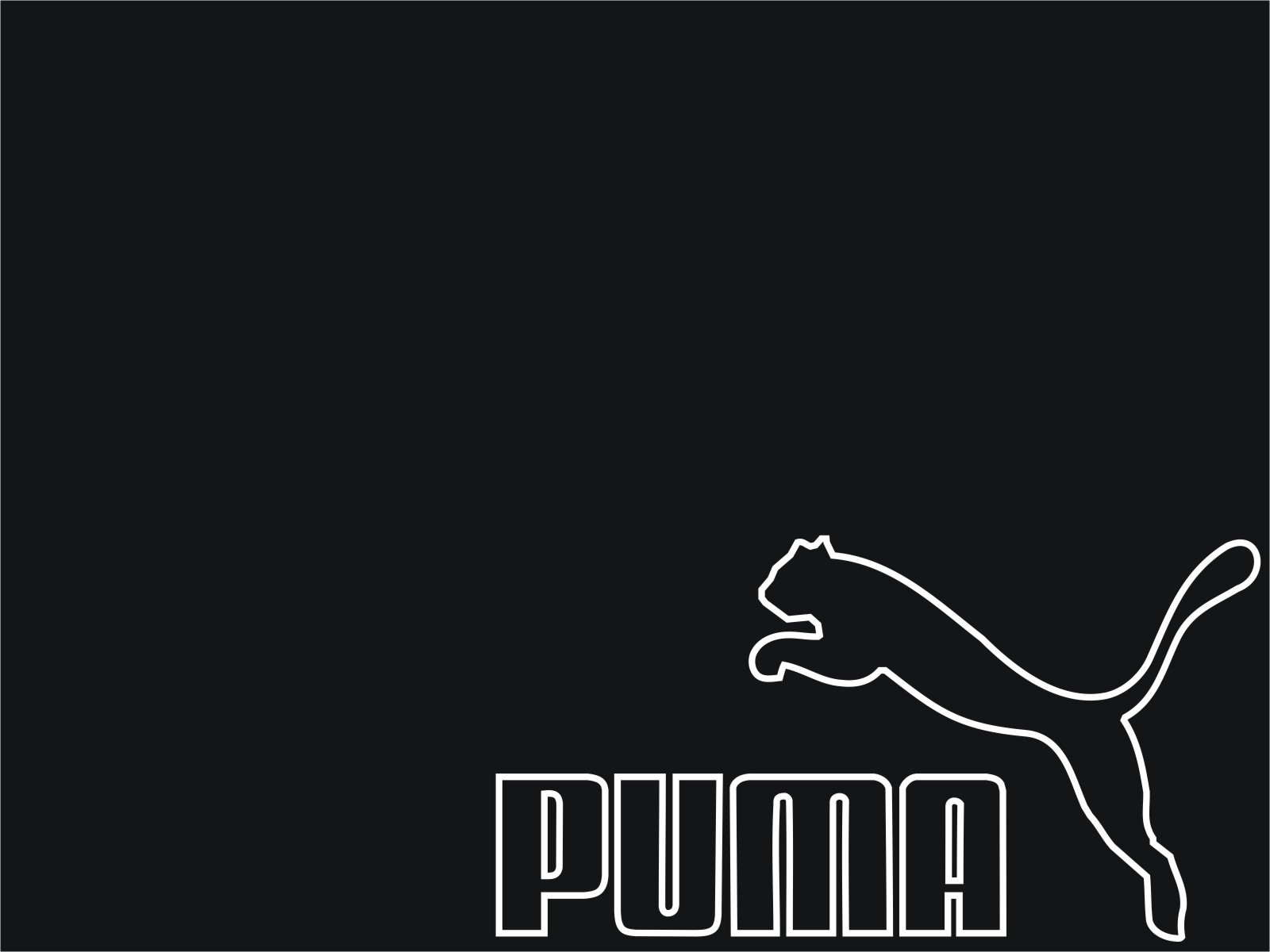 Puma - HD Wallpaper 