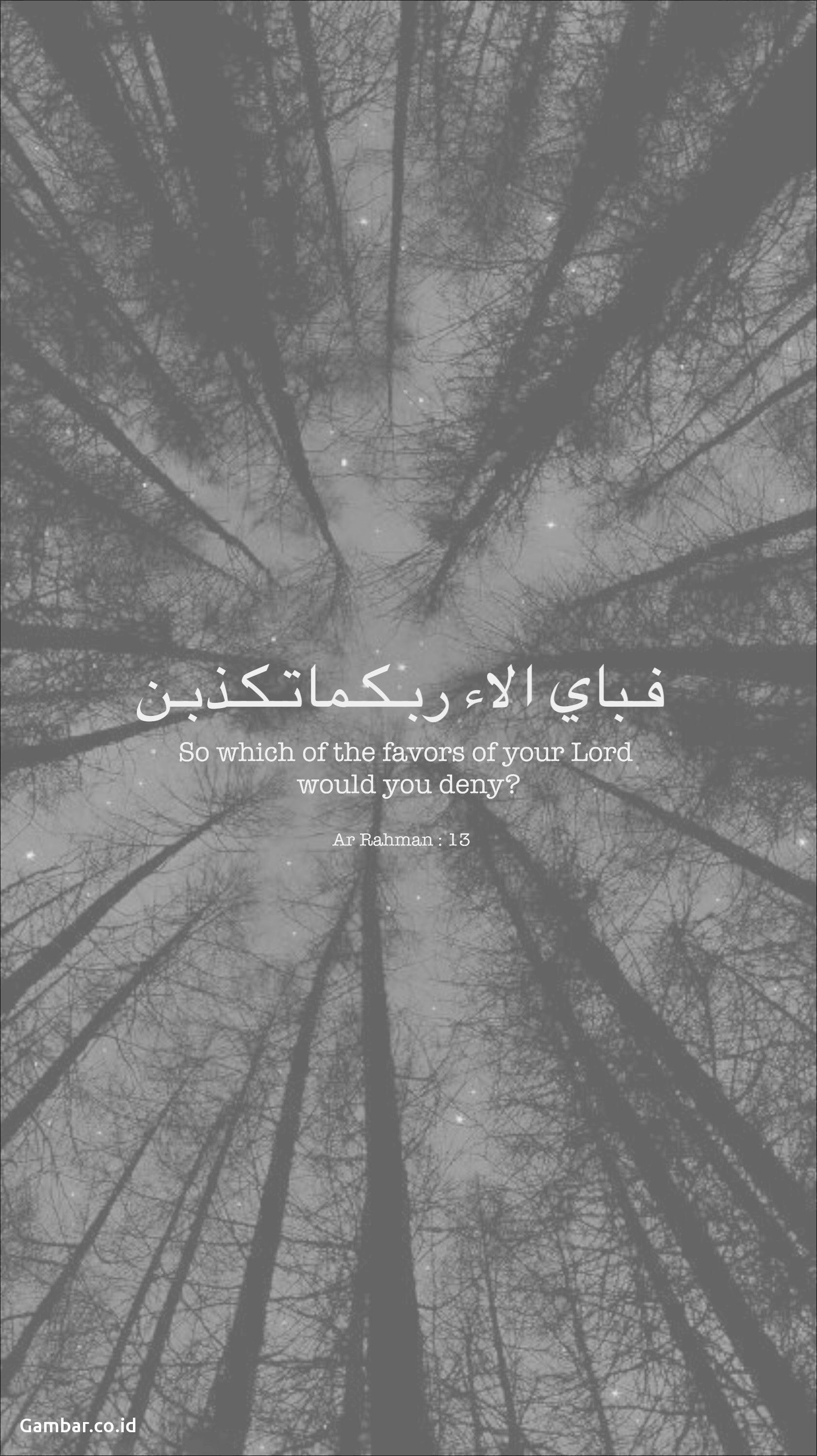 Holy Quran Wallpapers 
 Data-src /w/full/e/8/0/490983 - Tall Trees At Night - HD Wallpaper 