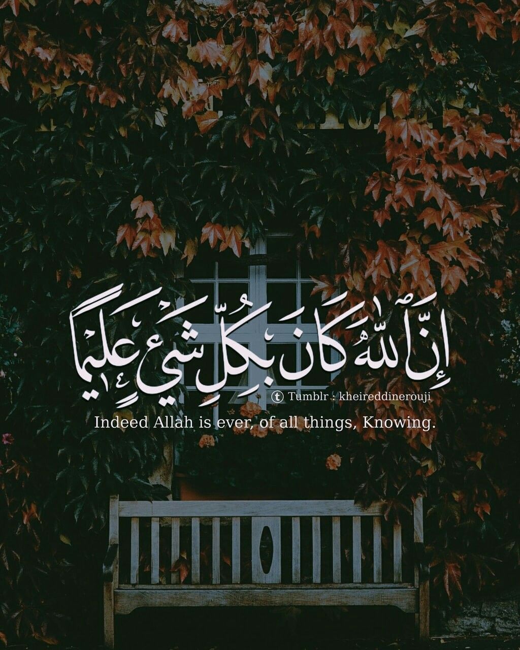Quran Verses - HD Wallpaper 