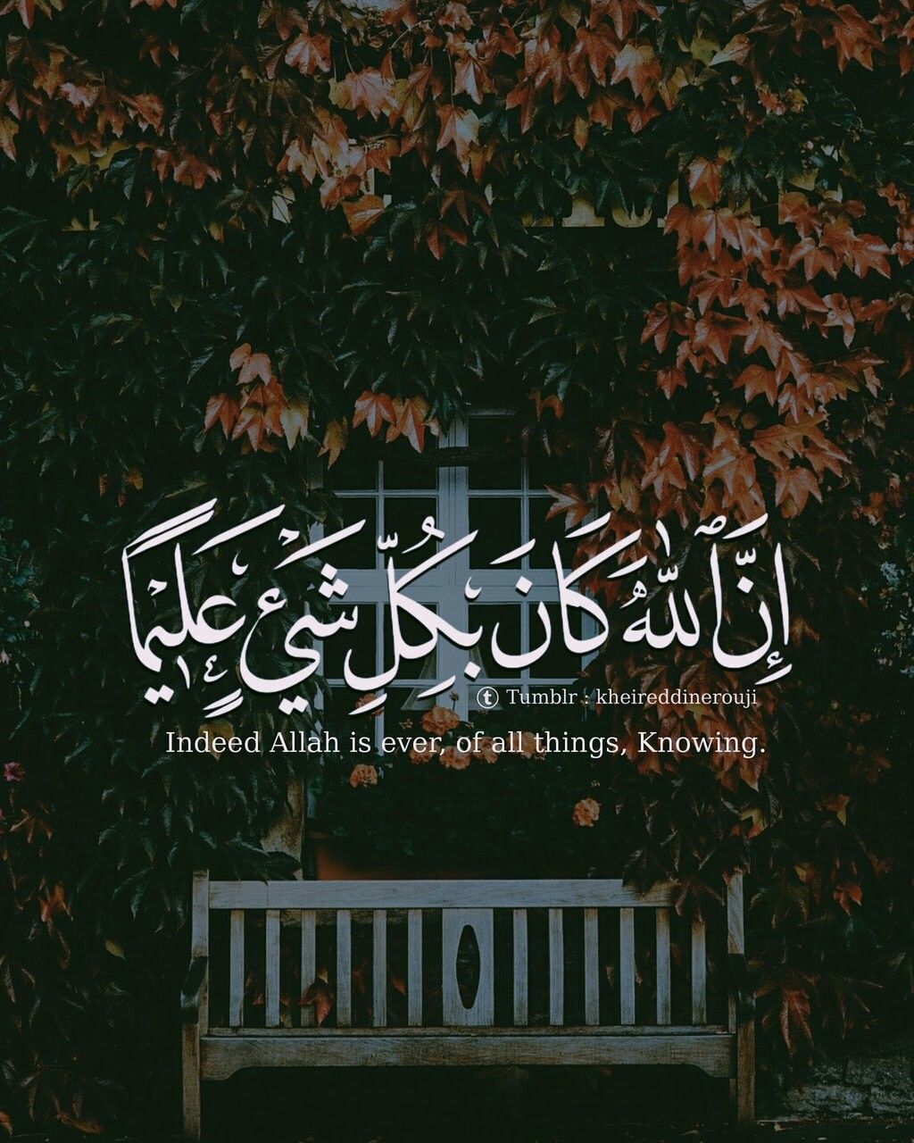 Quran Verses - 1024x1280 Wallpaper - teahub.io