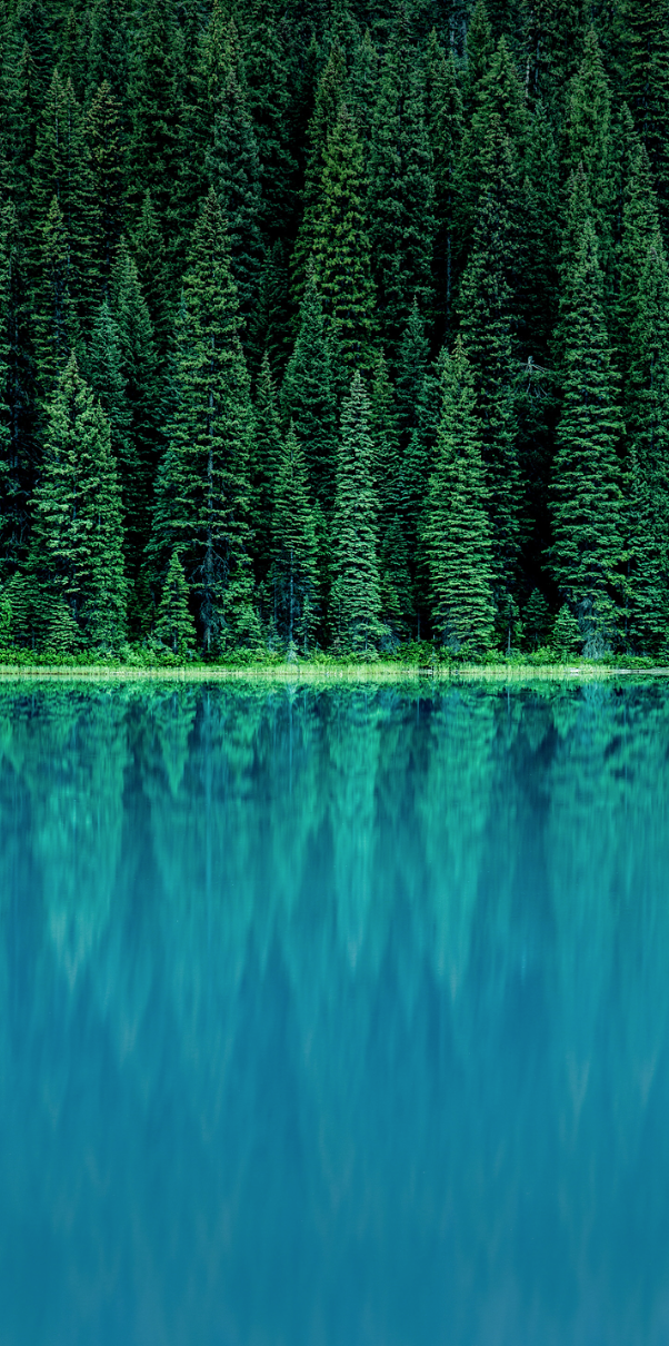 Fondos De Pantalla Moto G6 - HD Wallpaper 