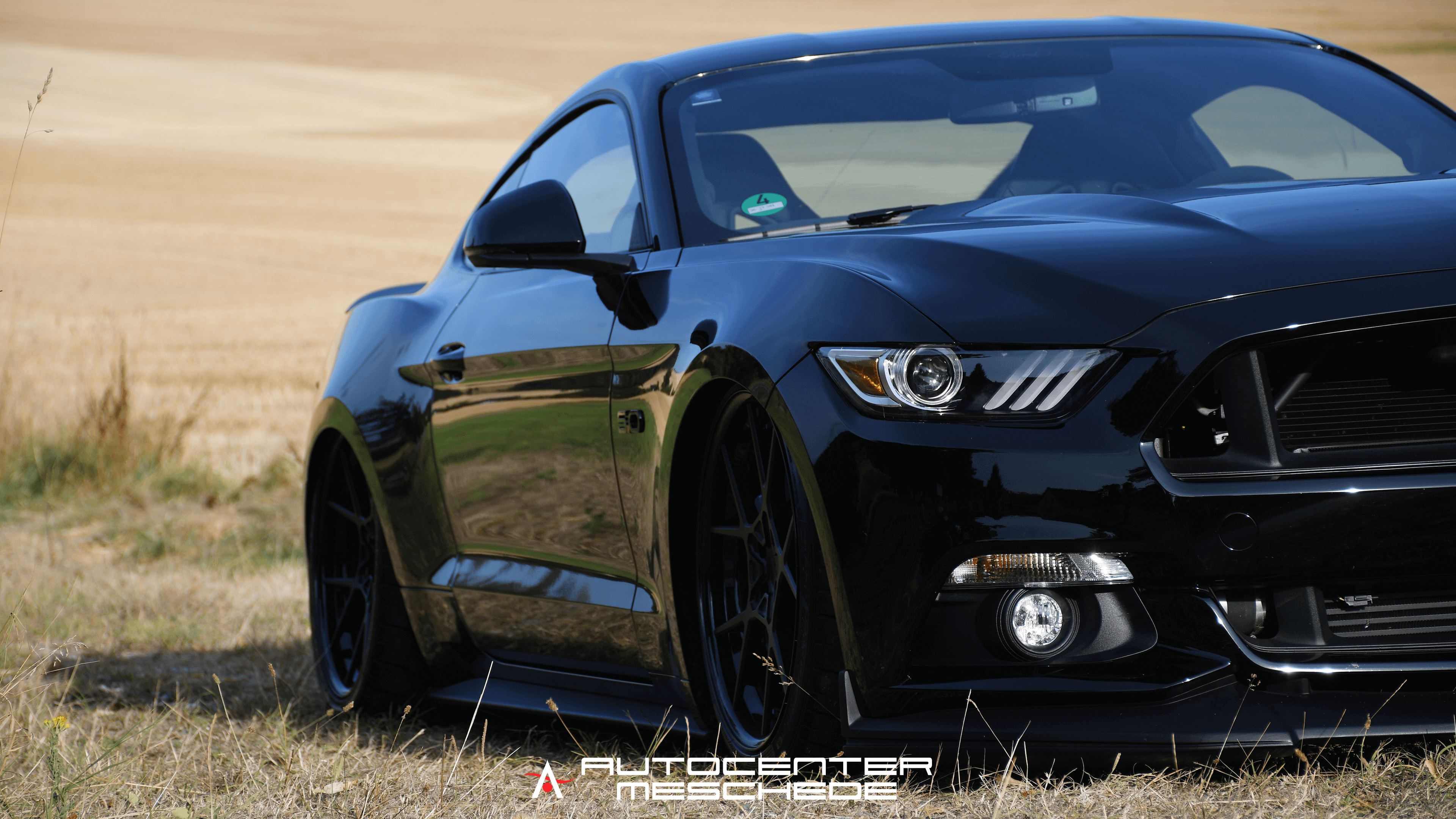 Mustang Gt Full Hd Wallpaper