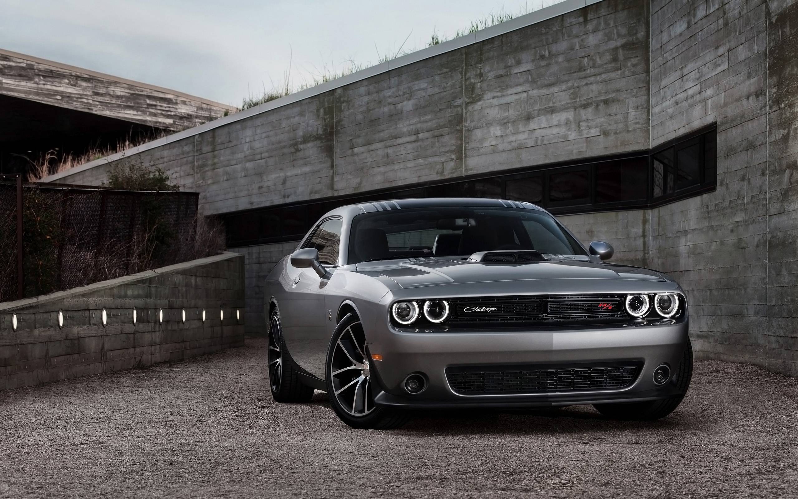 Dodge Wallpaper Hd - Dodge Challenger Car - HD Wallpaper 
