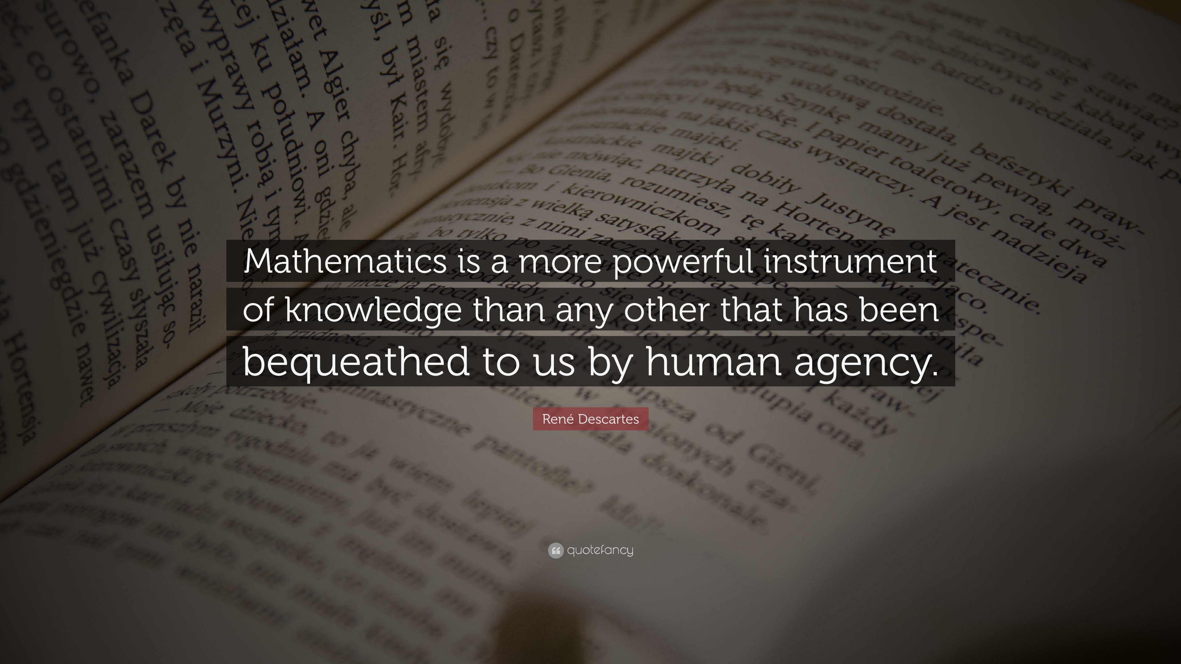 “mathematics Is A More Powerful Instrument Of Knowledge - Haruki Murakami Quotes Books - HD Wallpaper 