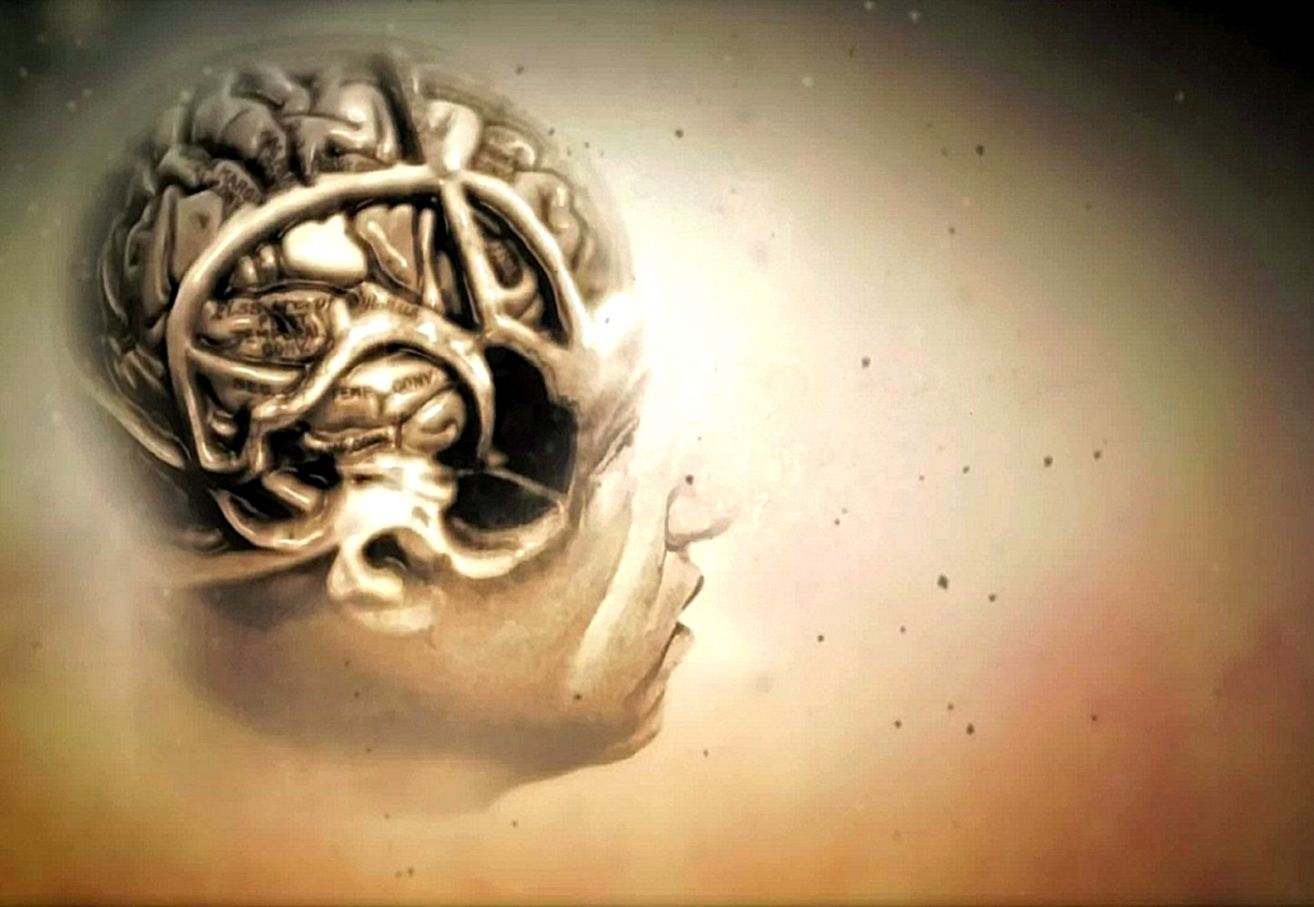 Brain Wallpaper Hd Wallpapersafari - House Md Intro - HD Wallpaper 