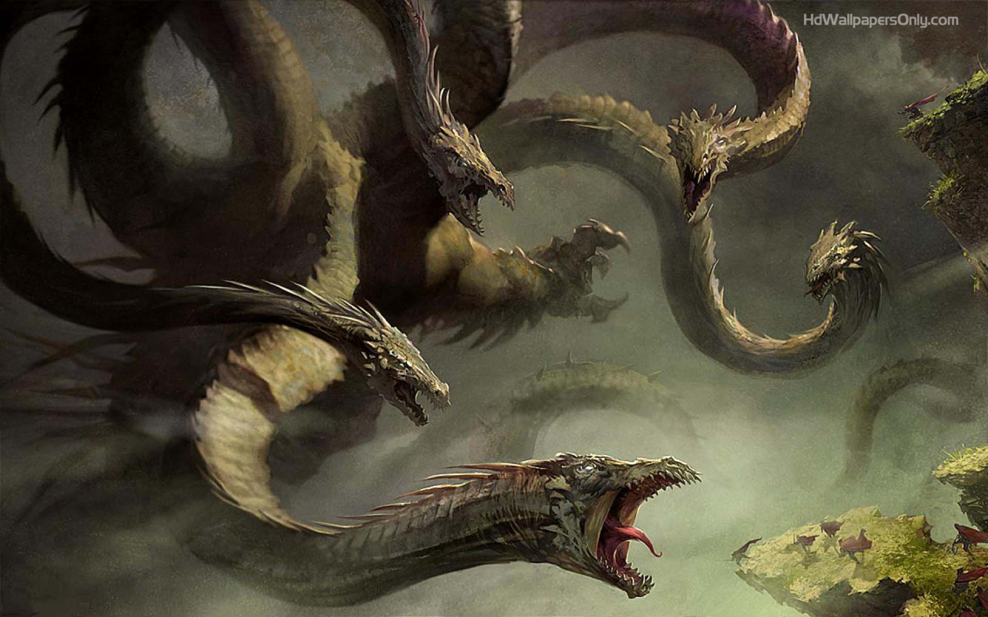 Dragon 5 Head Wallpapers Hd - Hydra Fantasy Art - HD Wallpaper 