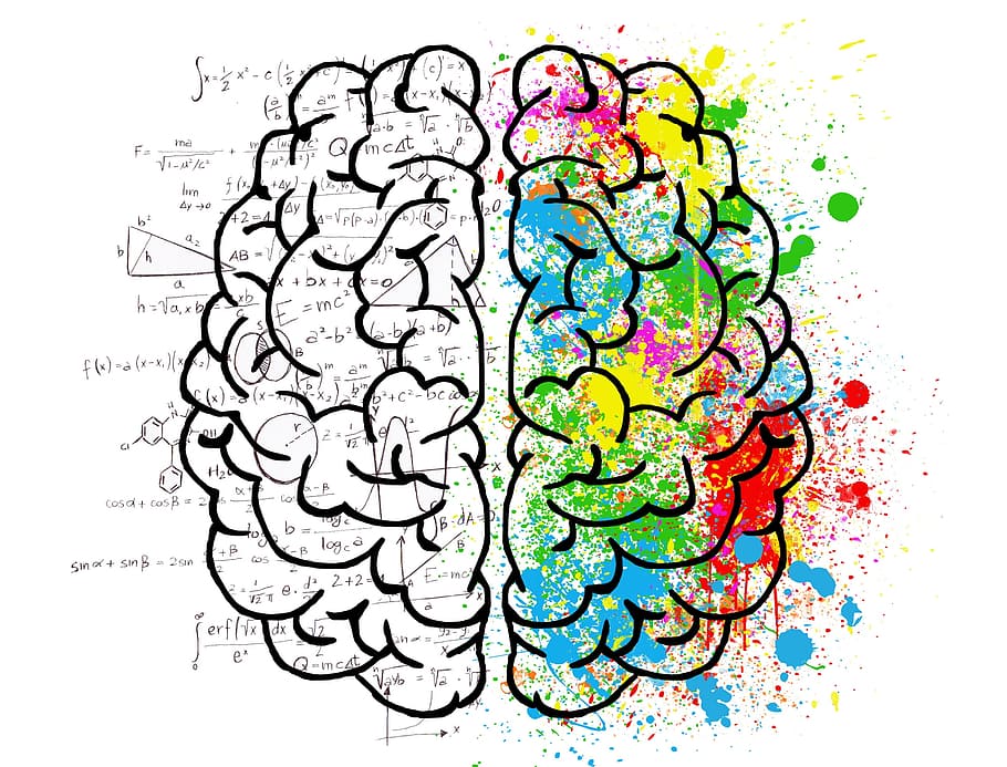 Multicolored Brain Illustration, Mind, Psychology, - Brain Creativity - HD Wallpaper 