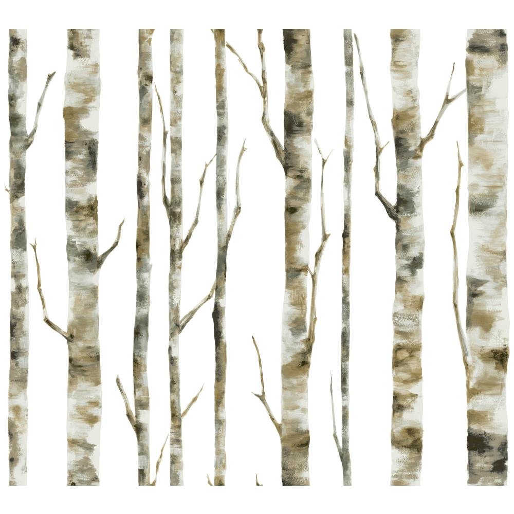 York Wallcoverings Birch Trees - HD Wallpaper 