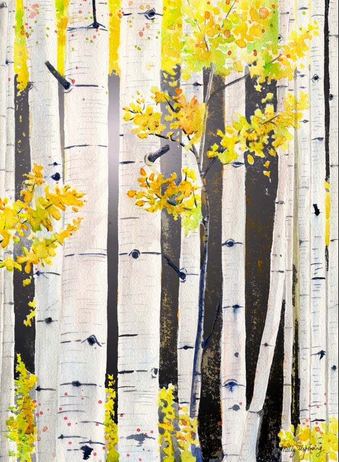 Birch - HD Wallpaper 