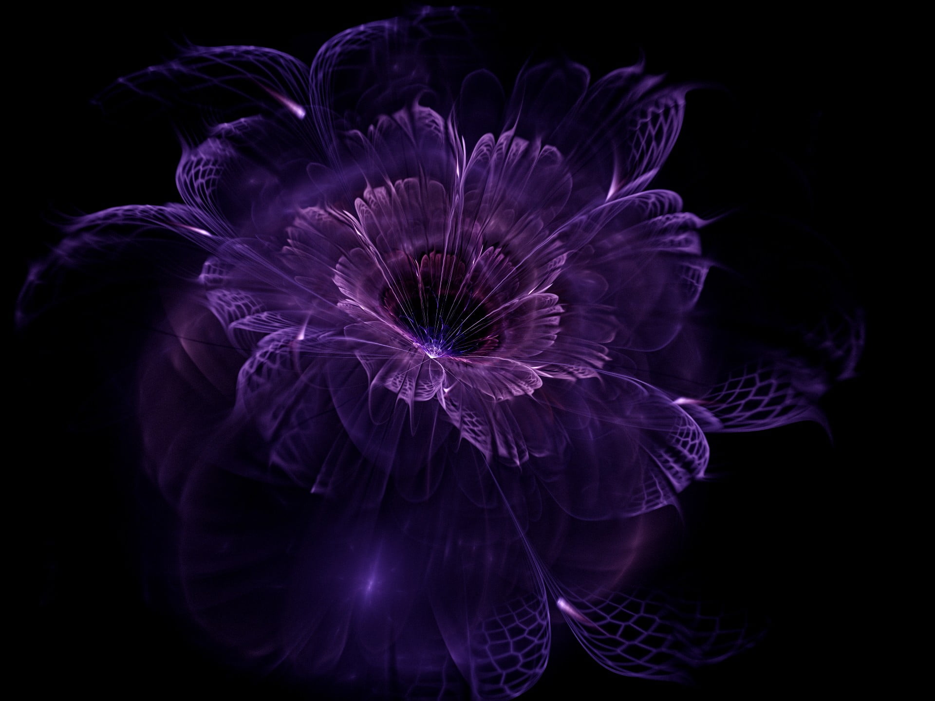 Dark Background Purple Flower - HD Wallpaper 