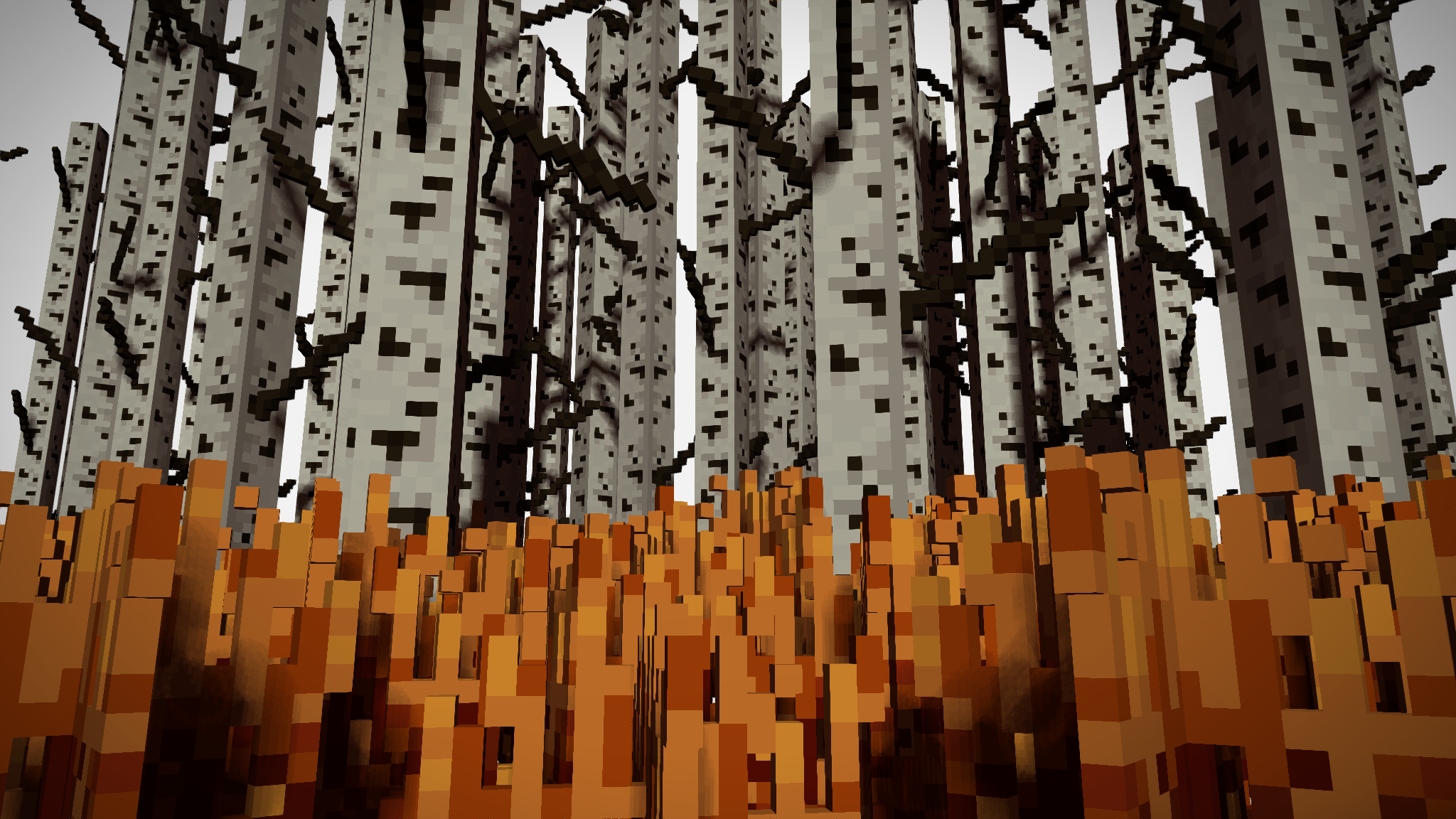 Ovxdpxm - Canoe Birch - HD Wallpaper 