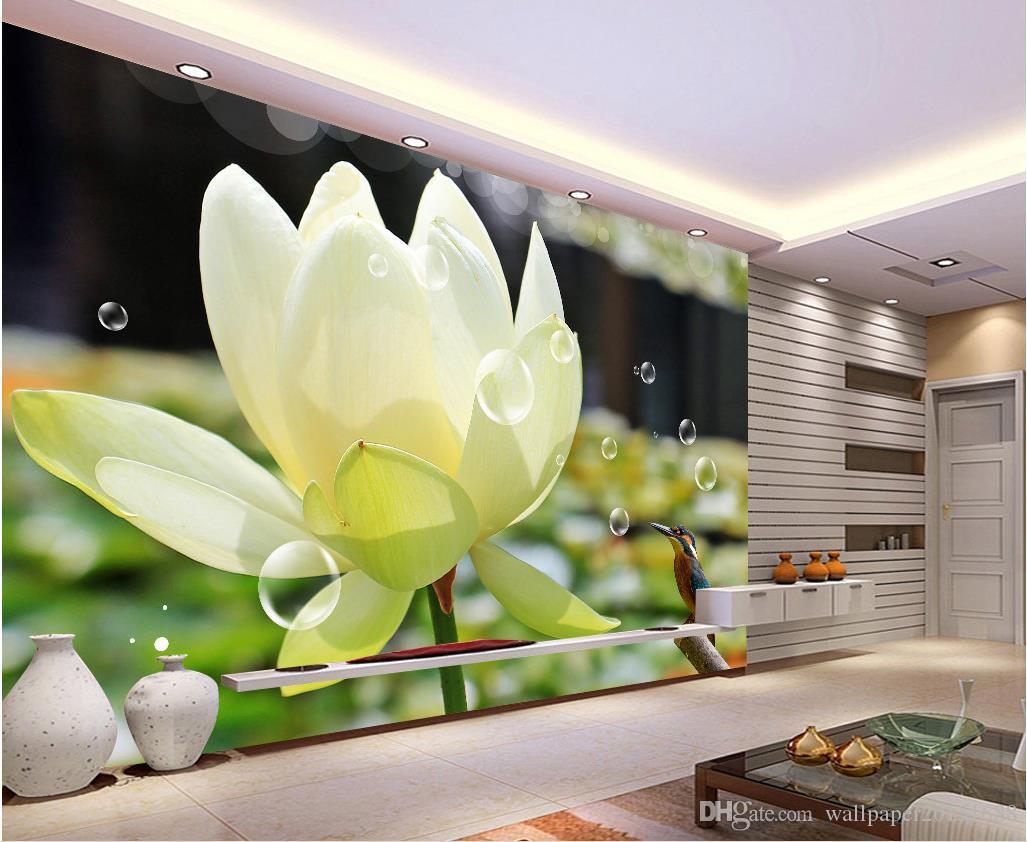 Plane Per Sallon - HD Wallpaper 