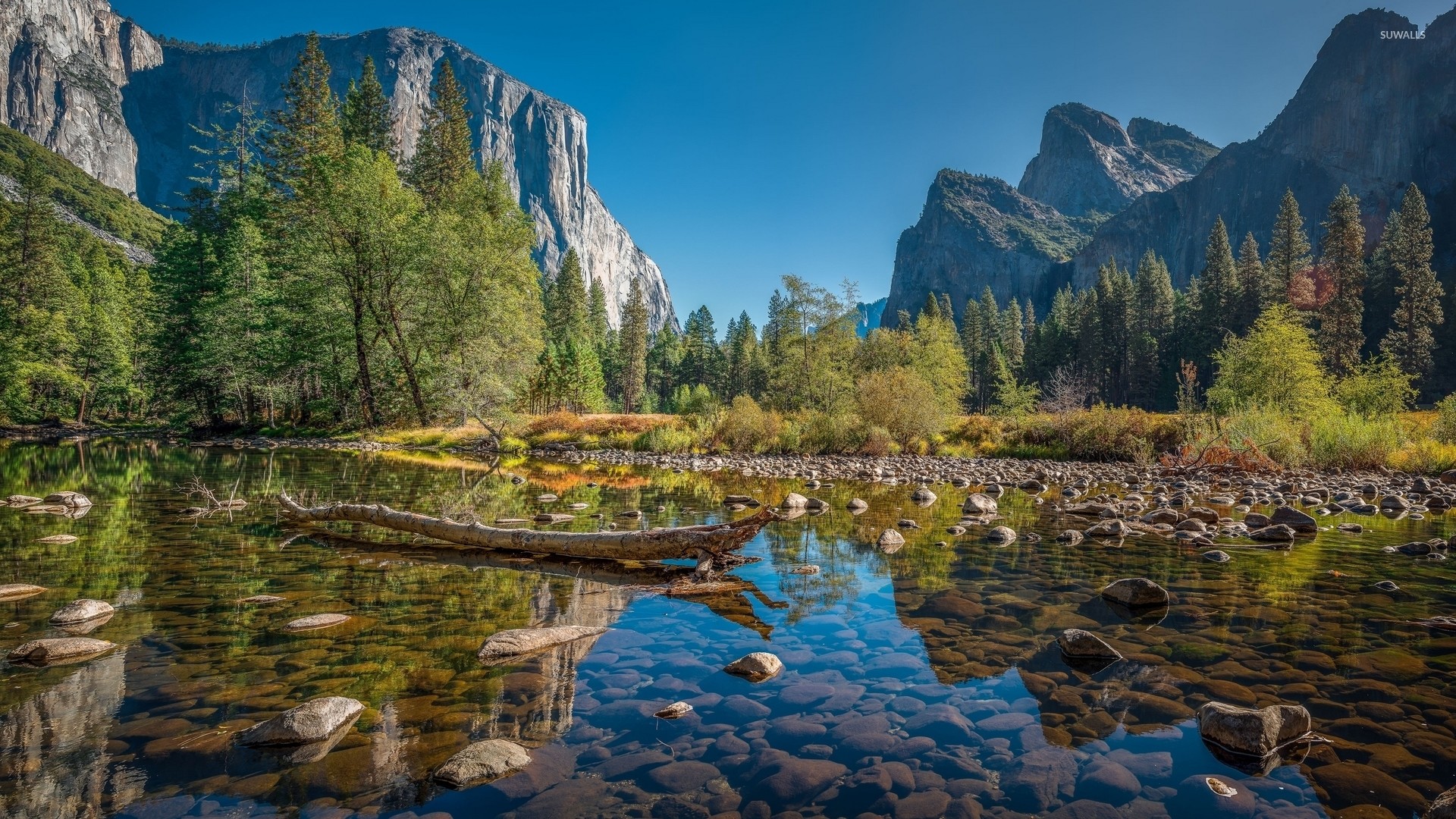 Yosemite national park screensavers woodslima