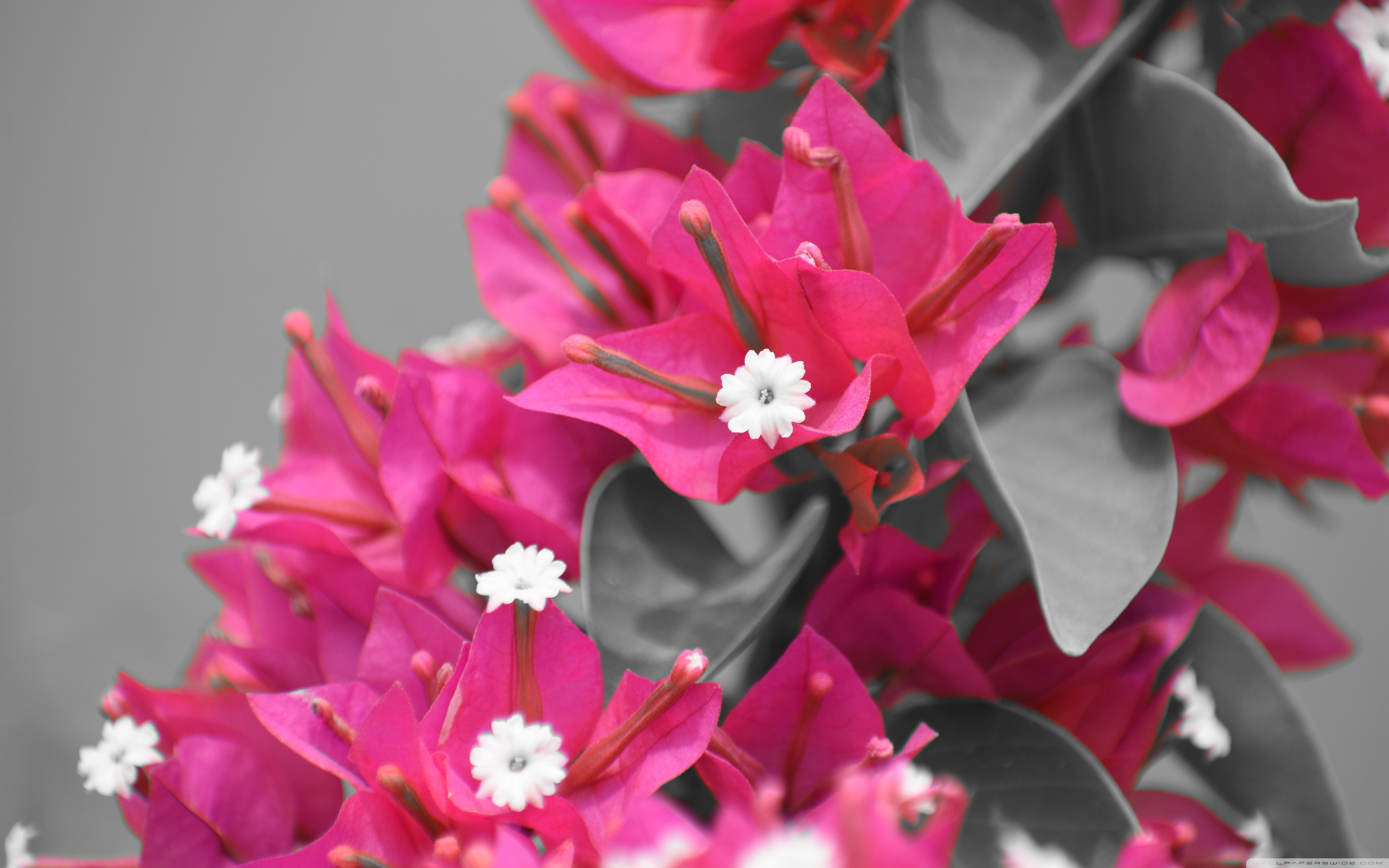 Tablet Computer - HD Wallpaper 