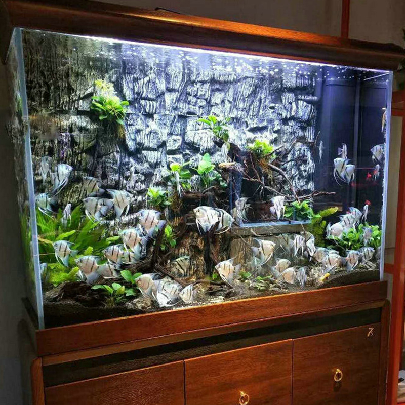 Fish Tank Wallpaper - HD Wallpaper 