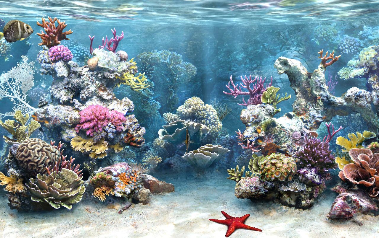 Aquarium Background Hd - HD Wallpaper 