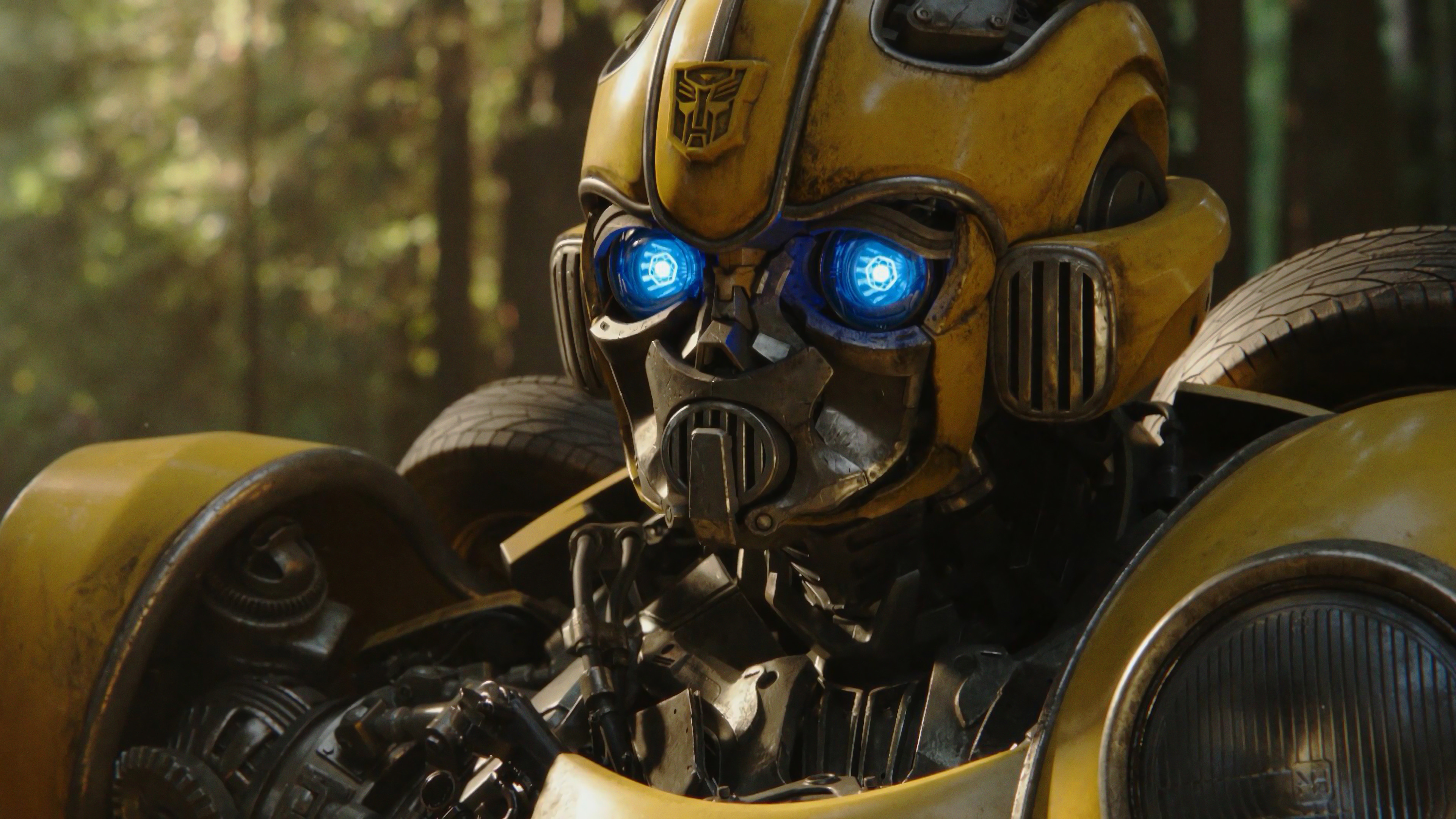 Bumblebee Wallpaper Hd 2018 - HD Wallpaper 