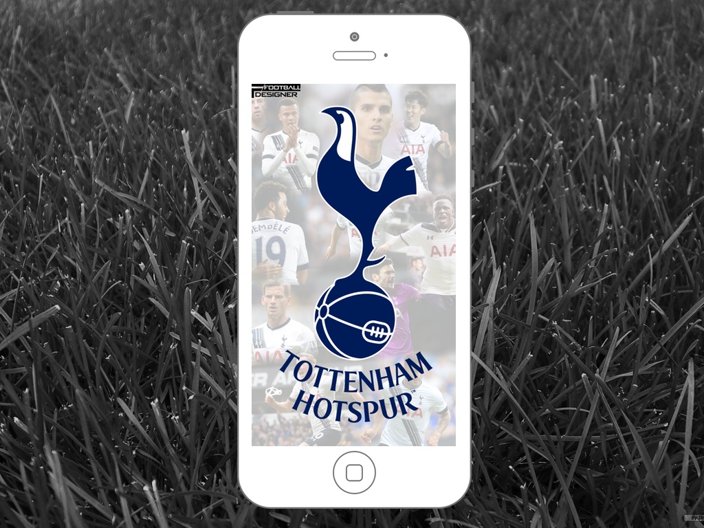 Rabbit Images Full Hd - HD Wallpaper 