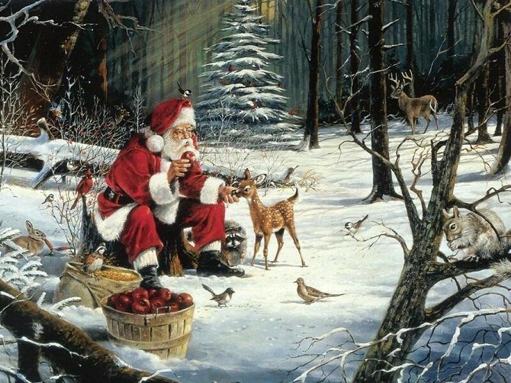Santa Claus - Ziemassvētku Attēli - HD Wallpaper 