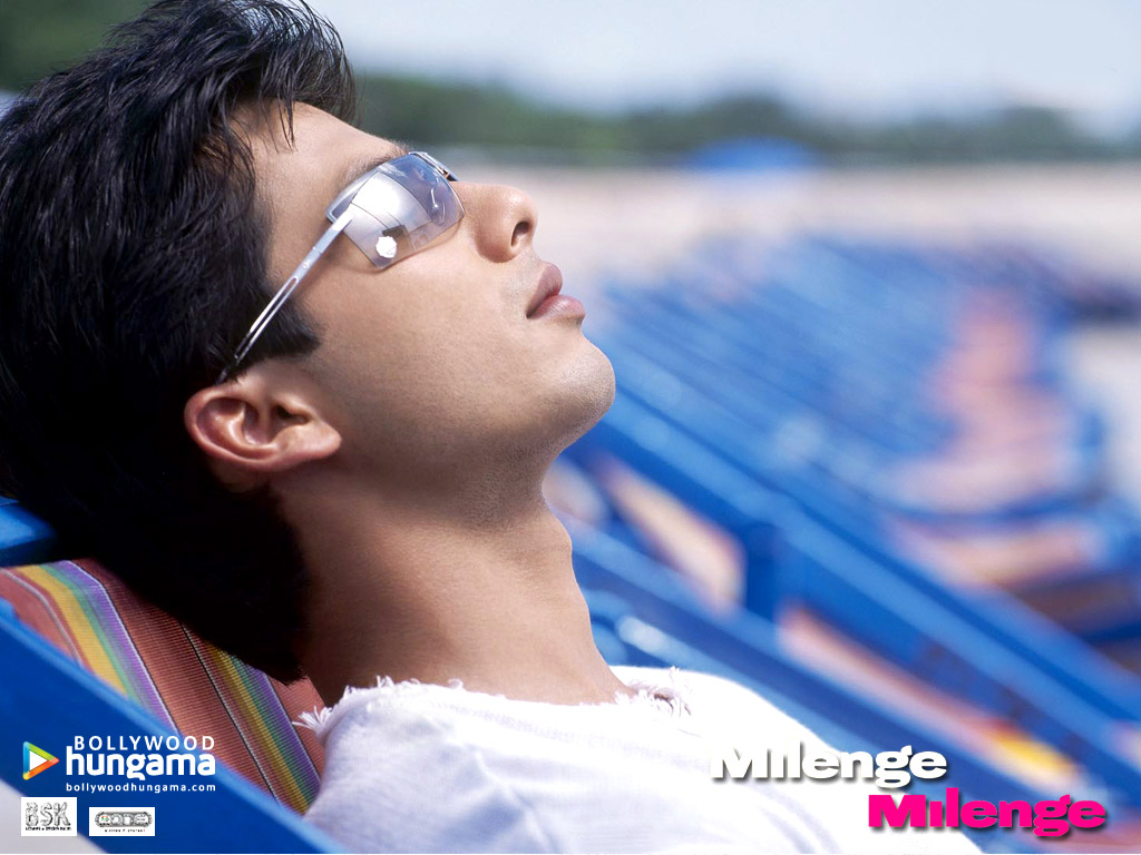 Shahid Kapoor - HD Wallpaper 