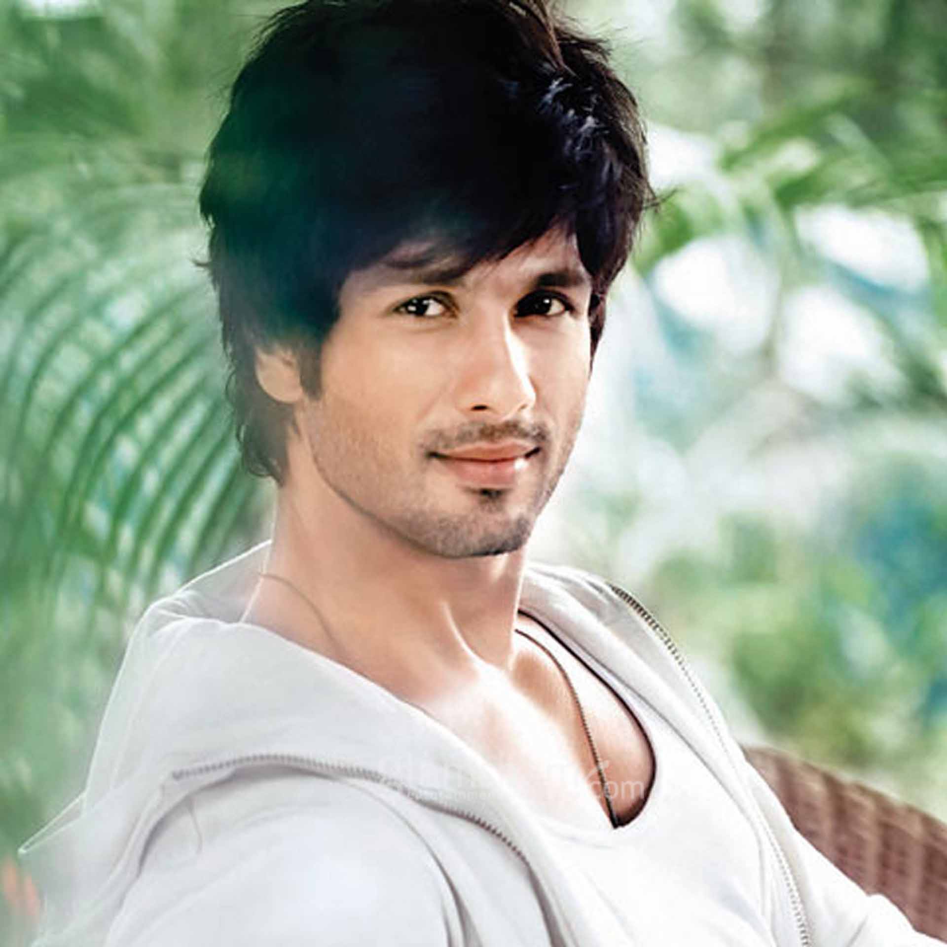 Shahid Kapoor Wallpapers Free Download - Shahid Kapoor - HD Wallpaper 