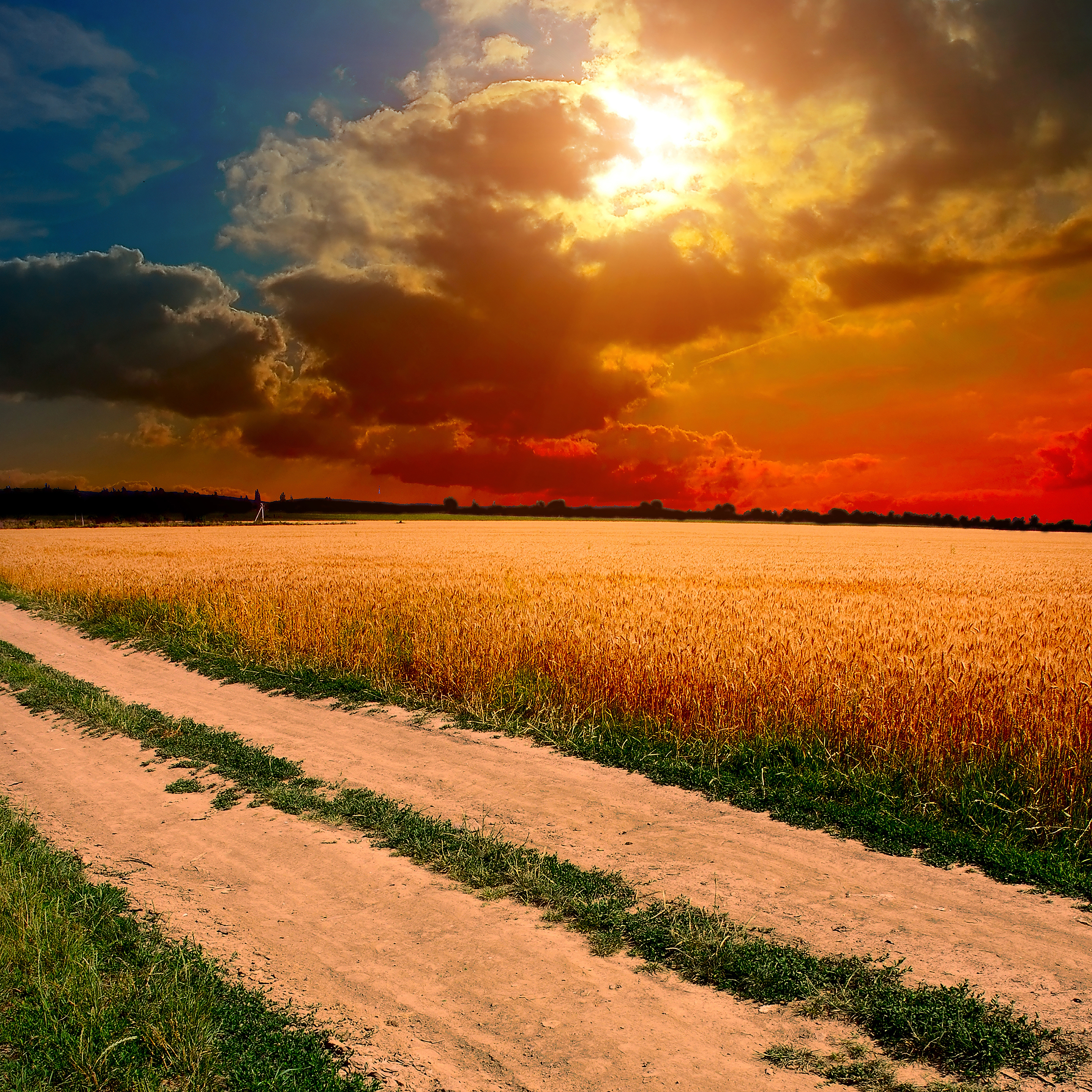 Imagenes Grandes En Hd - HD Wallpaper 