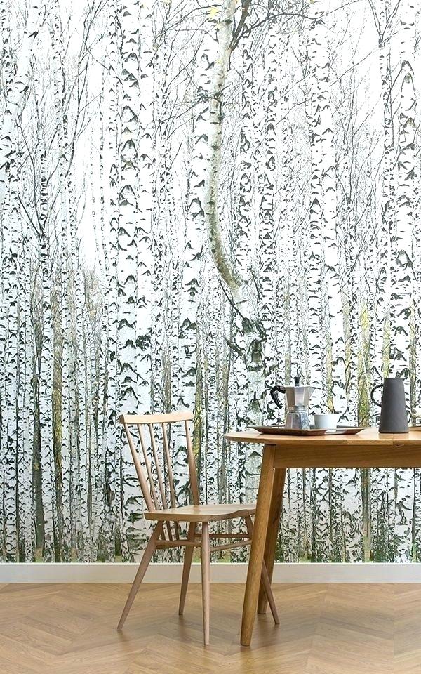 Birch Tree Wall Mural Birch Tree Wall Mural These Wallpaper - Chair - HD Wallpaper 