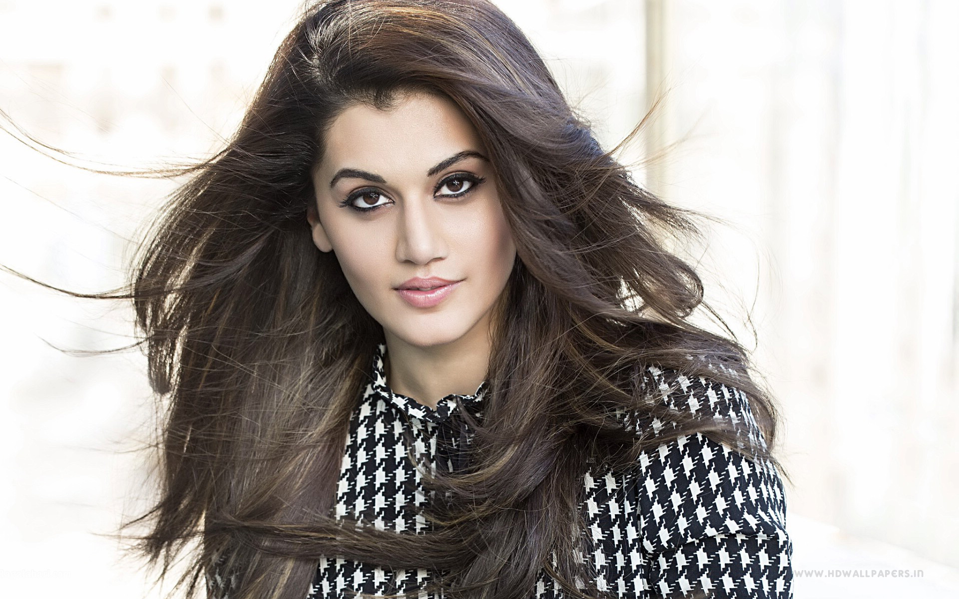 Taapsee Pannu - HD Wallpaper 