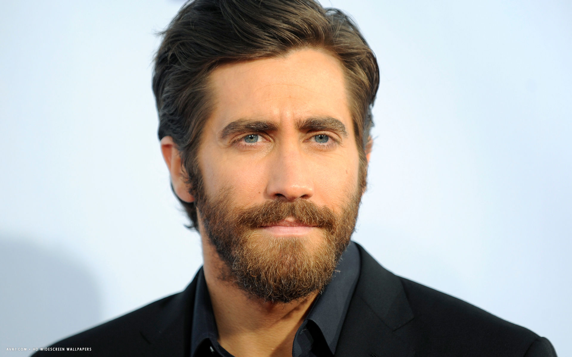 Jake Gyllenhaal Actor Hd Widescreen Wallpaper - Jake Gyllenhaal Wallpaper Desktop - HD Wallpaper 