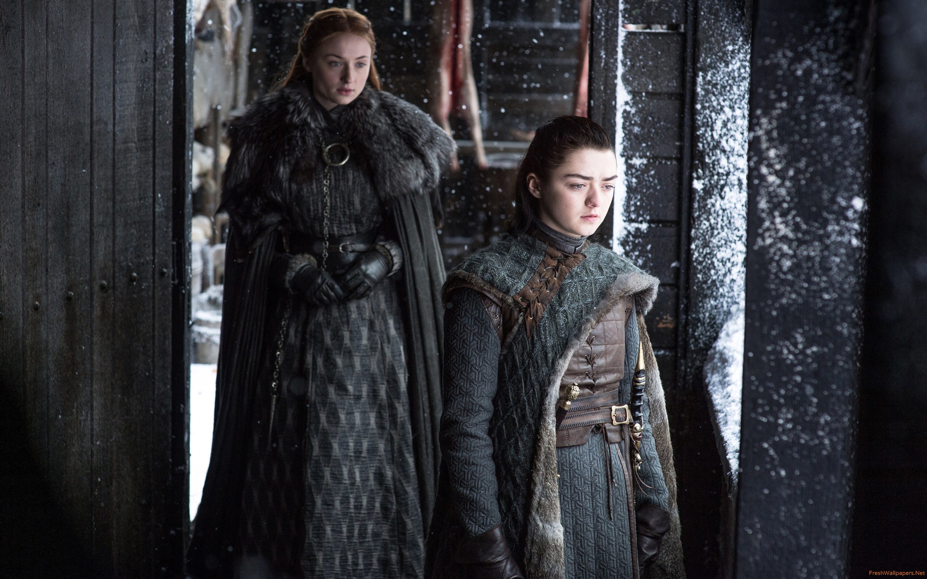 Game Of Thrones Arya Sansa - HD Wallpaper 