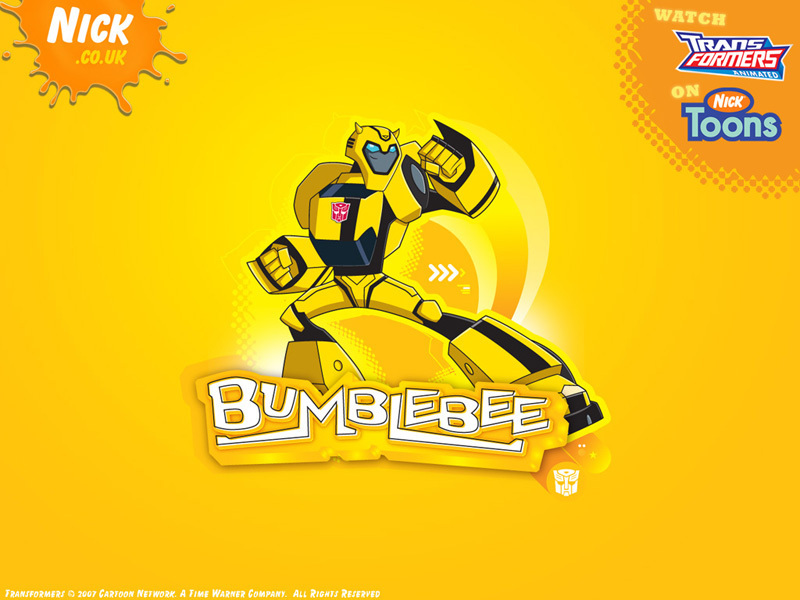 Tfa Wallpaper - Bumblebee - Transformers Animated Bumblebee - HD Wallpaper 