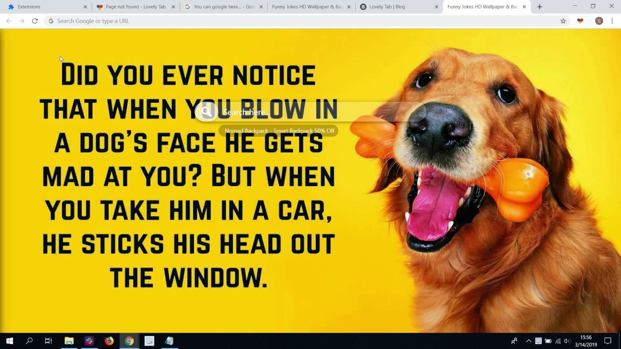 International Dog Day 2019 Quotes - HD Wallpaper 