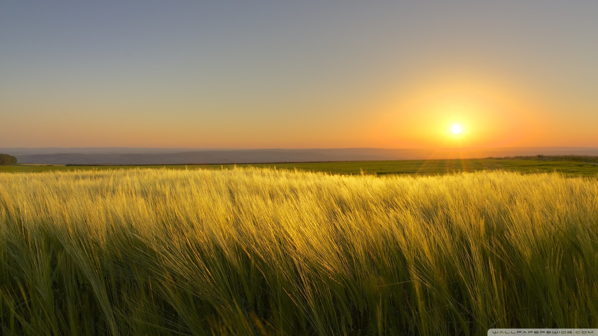 Hd - Sunny Day Background Hd - HD Wallpaper 