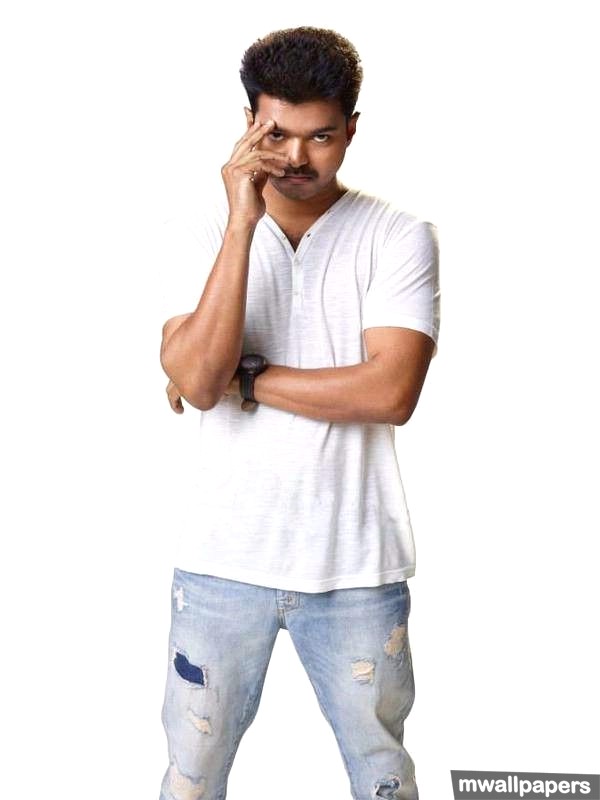 Vijay Hd Photos & Wallpapers (9564) - Vijay Fans - HD Wallpaper 