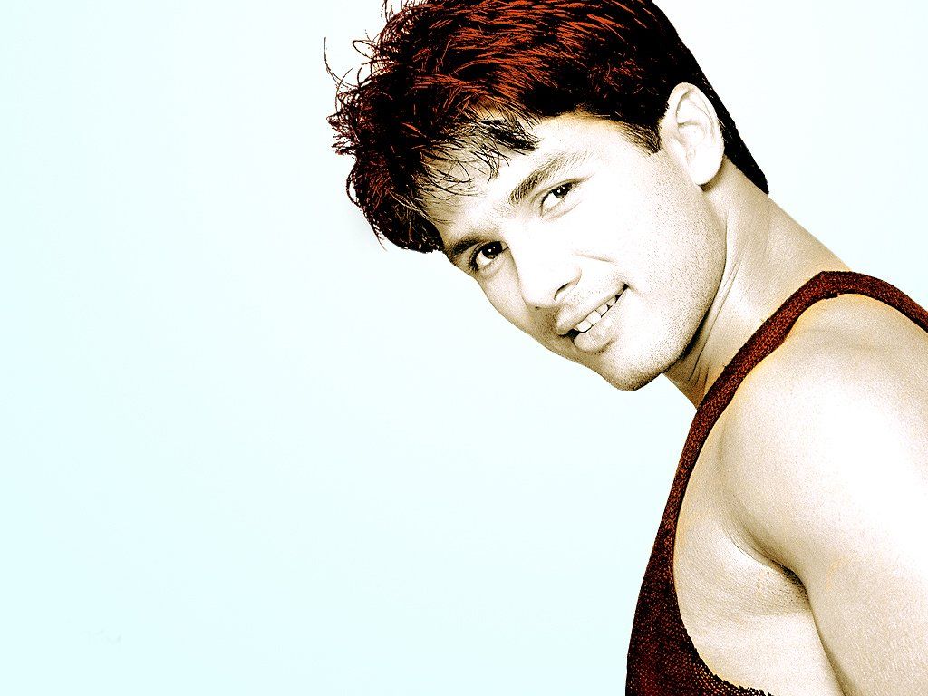Shahid Kapoor - HD Wallpaper 