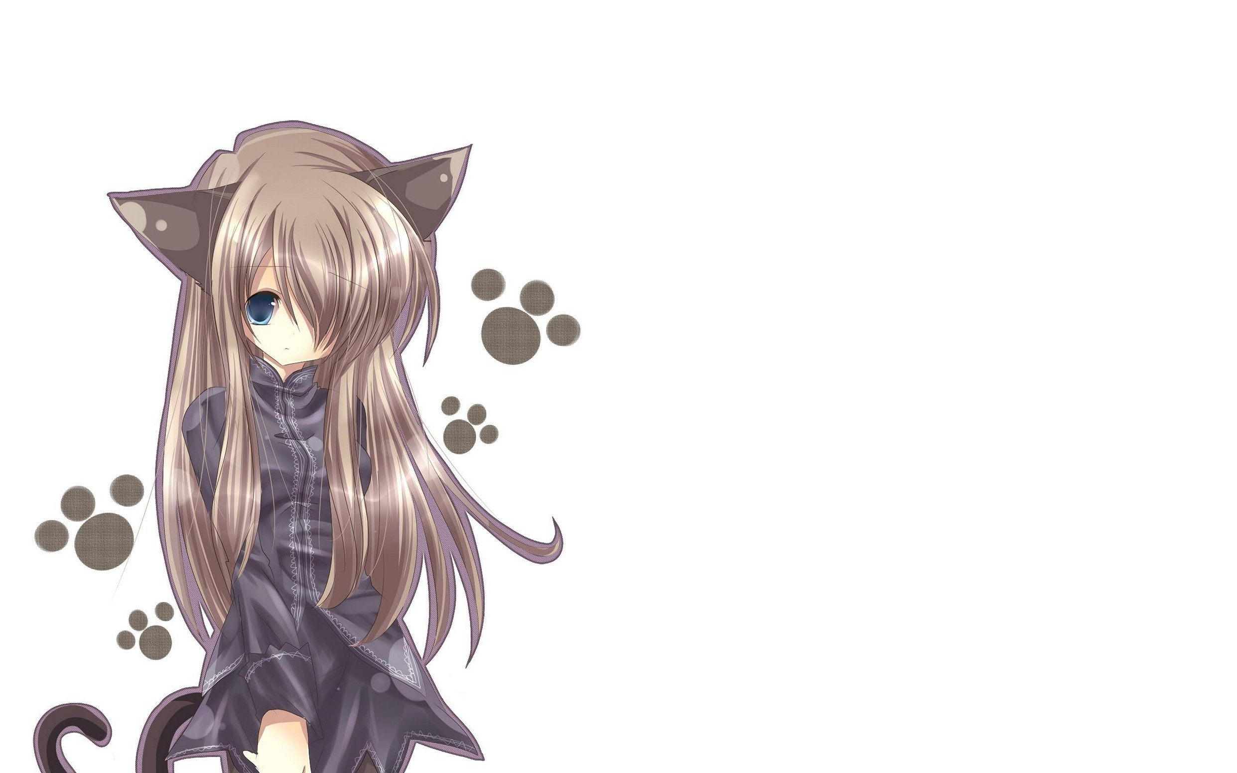 Cat Girl Nekomimi Art Girl Superb Anime Wallpapers - Anime Cat Girl Drawings - HD Wallpaper 