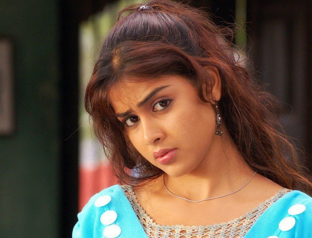 South Hot Actress Genelia Dsouza Pic Hwb18931 - Genelia D Souza - HD Wallpaper 